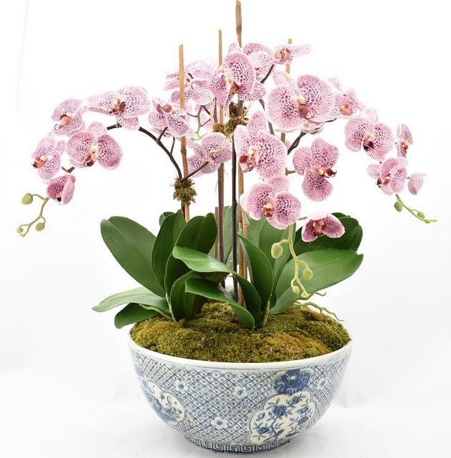 Four Stem Pink/Purple Orchid in Mid Size Trellis Bowl